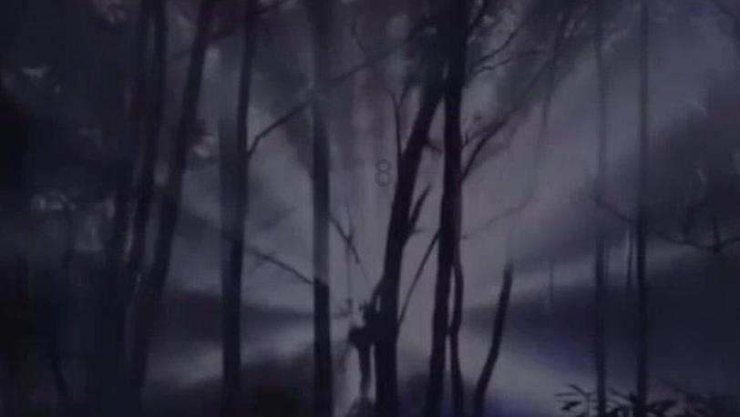 哪个大神知道这块精工表是什么型号?谢谢了-机智问答-解答你的疑惑